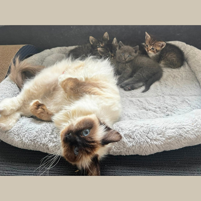 Photo of Athena