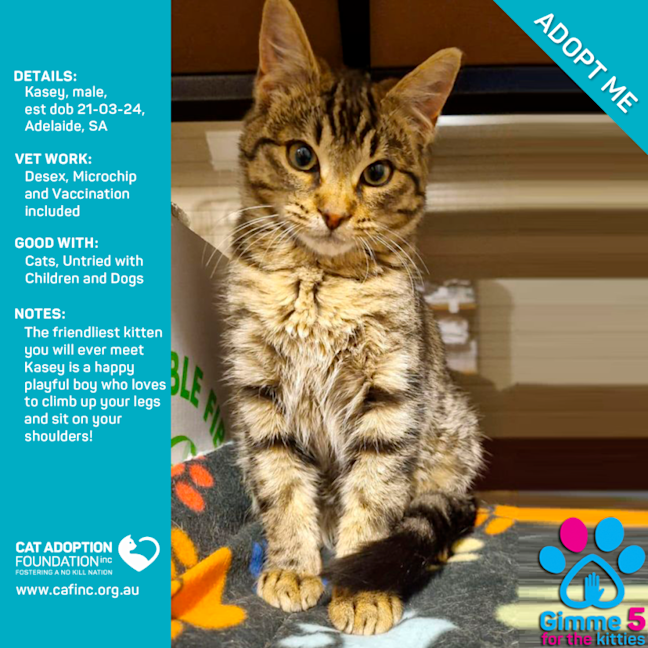 Photo of Kasey Just $50 Limited Time!