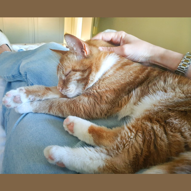 Photo of Finn & Percy