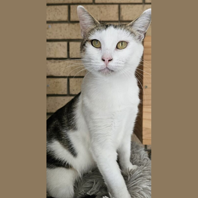 Photo of Hazel