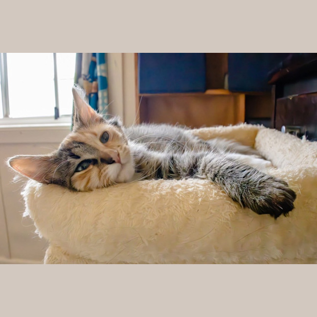 Photo of Marble