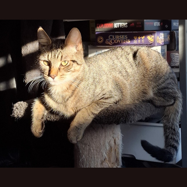 Photo of Bombshell