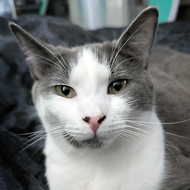 Photo of Buster