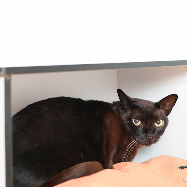 Photo of Reuben