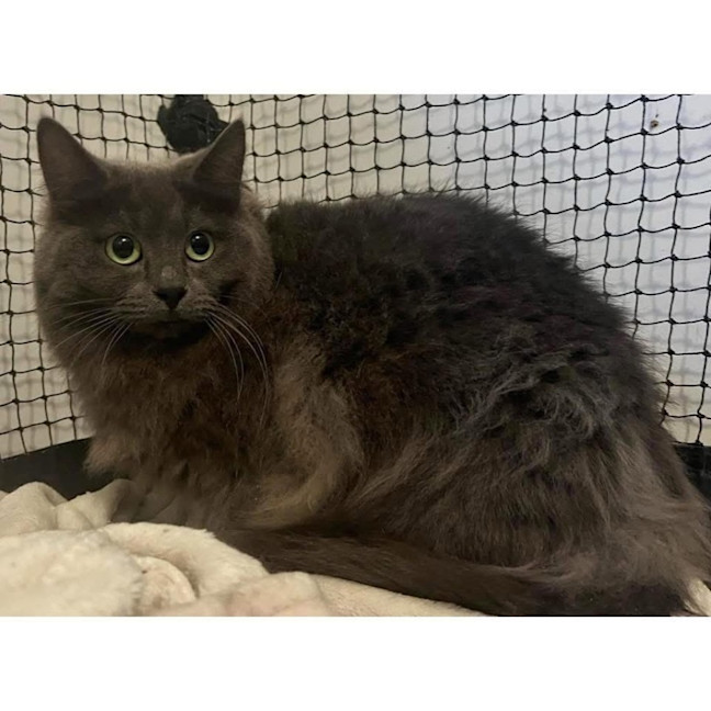 Photo of 9751   Spice