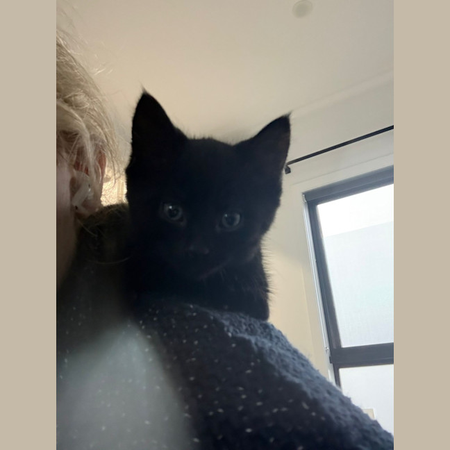 Photo of Nibbler