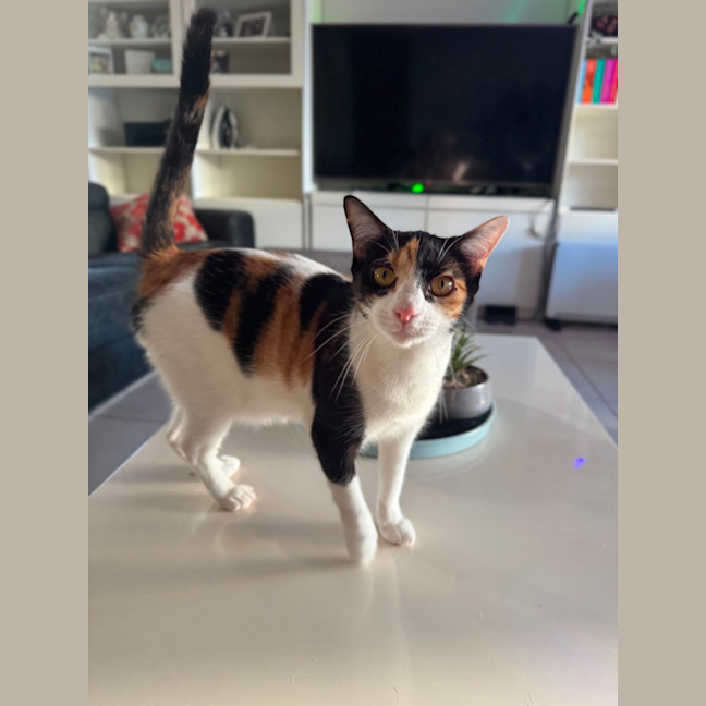 Photo of Marceline