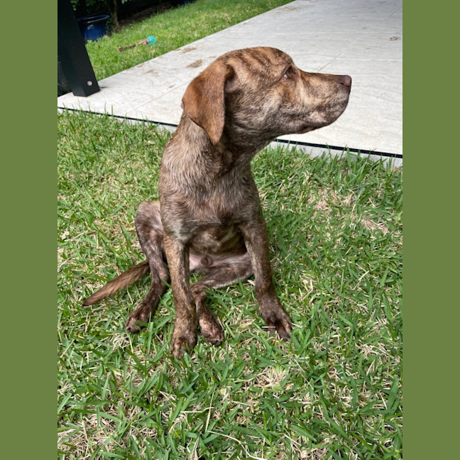 Photo of Benson 