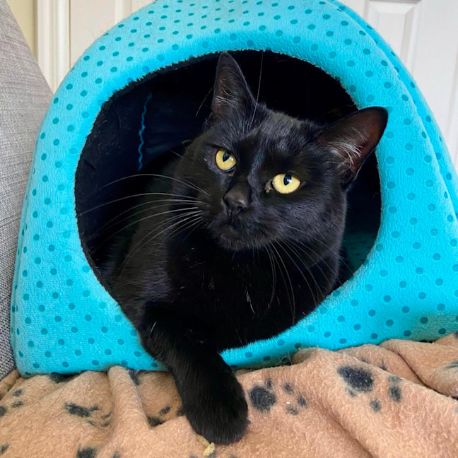 Photo of Jet   Located In Reservoir