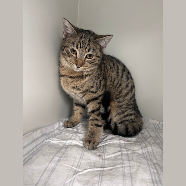 Photo of Leo