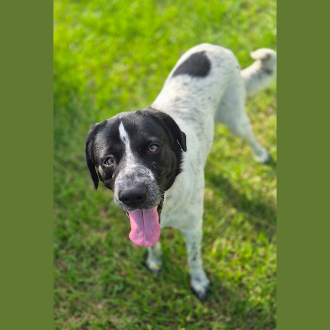 Photo of Lady Primrose (8981)