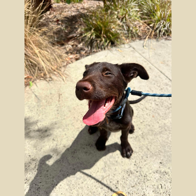 Photo of 🥯 Bagel 5769 🥯