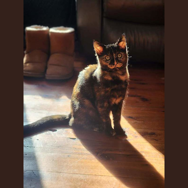 Photo of Maeve