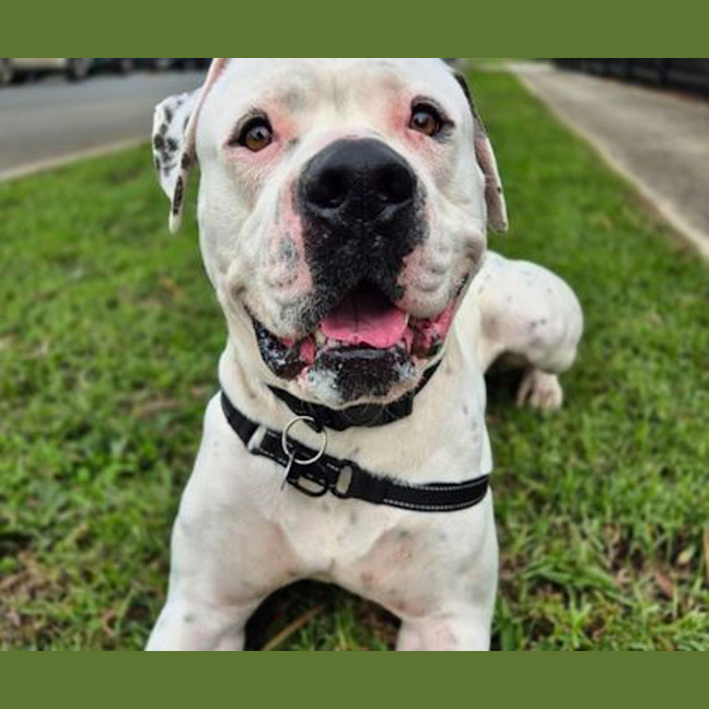 Photo of Max