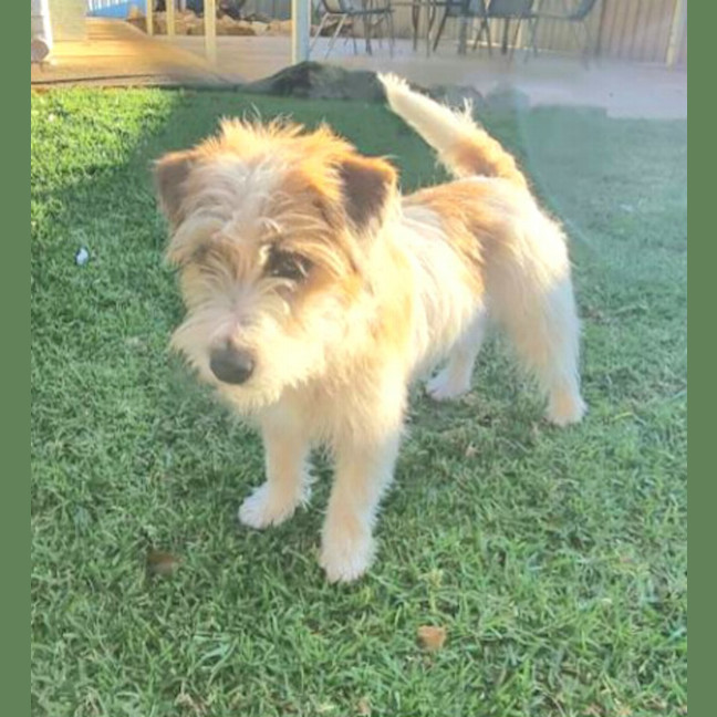 Photo of Darla (Jess)