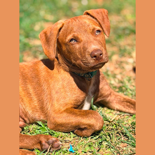 Photo of Buckley