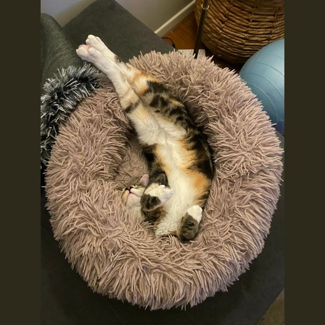 Photo of Wanda