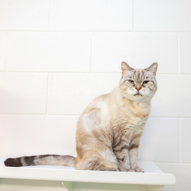 Photo of Molly