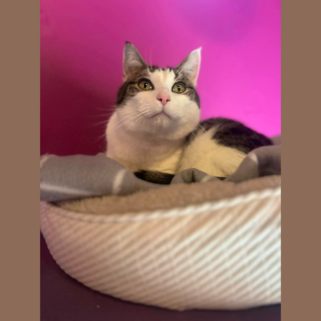 Photo of Tom
