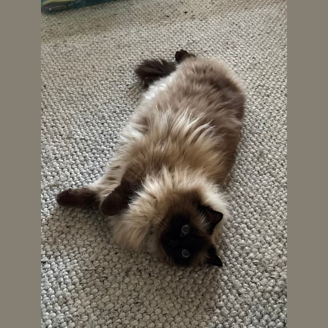 Photo of Kiki