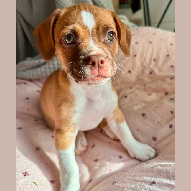Photo of Kiki