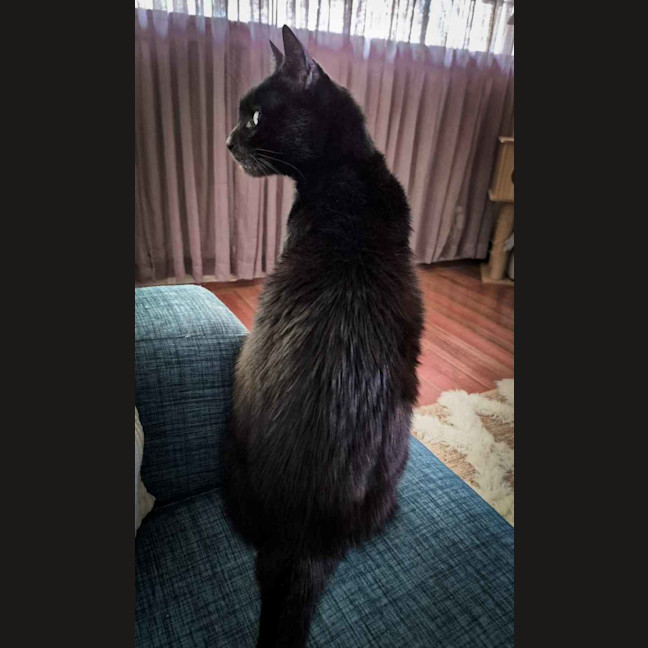Photo of Miles