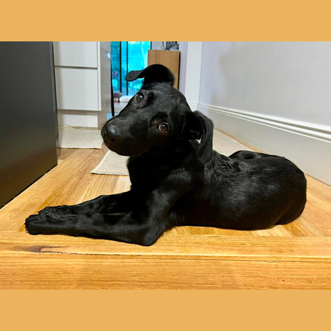 Photo of Pascha