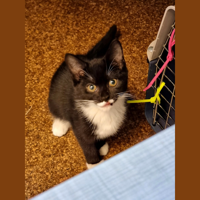Photo of Sally