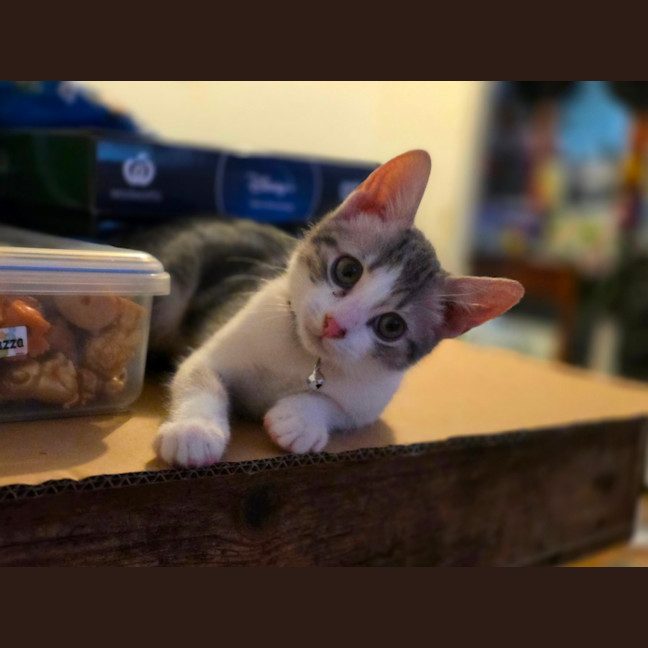 Photo of Rapha
