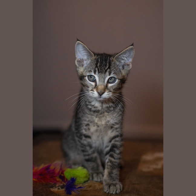 Photo of Edgar   Burnie