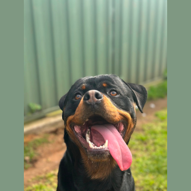 Photo of Max