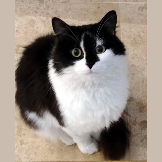 Photo of Kyle Rsta011628