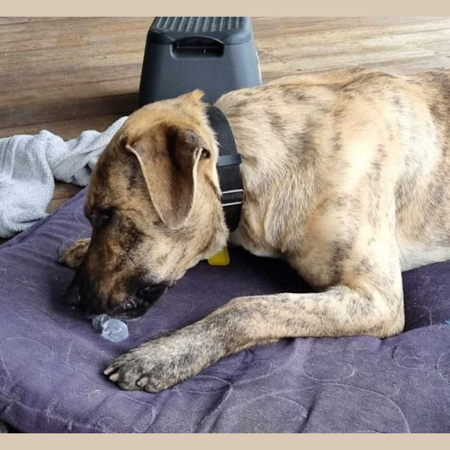 Photo of Wilma Fingerdoo