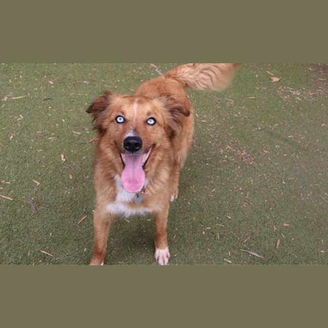Photo of Rocket