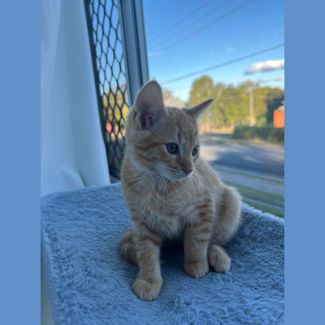 Photo of Theo