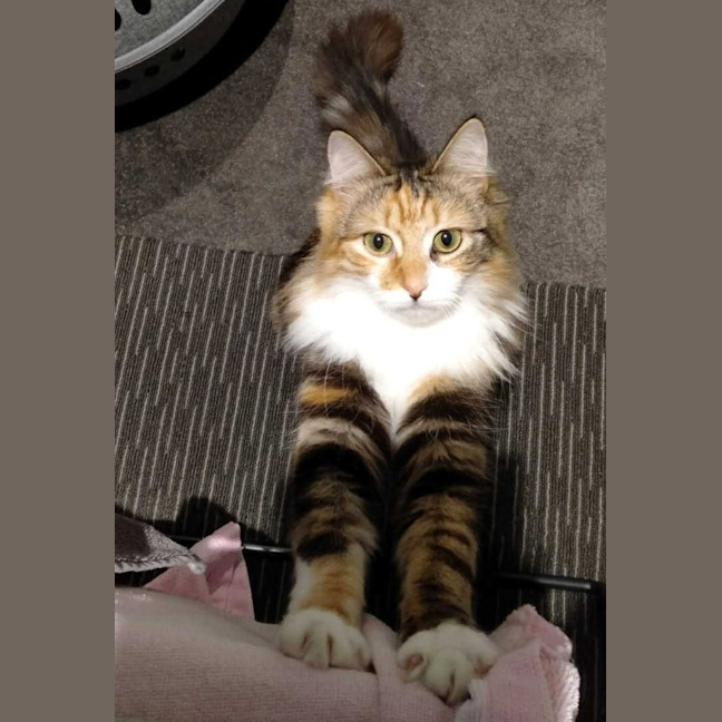 Photo of Polly Sta013920