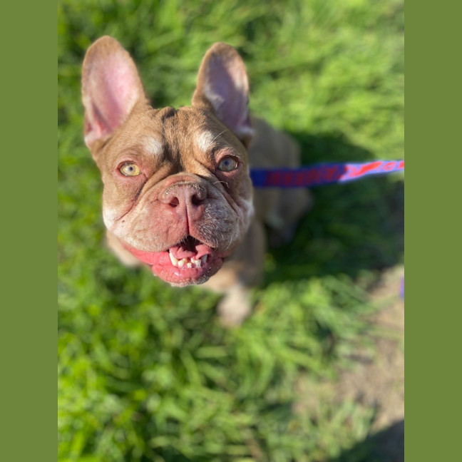 Photo of Betsy
