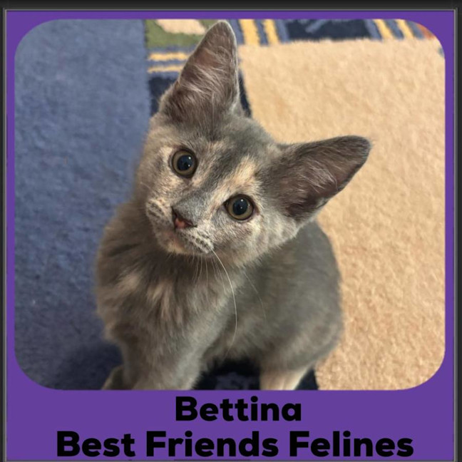 Photo of Bettina 