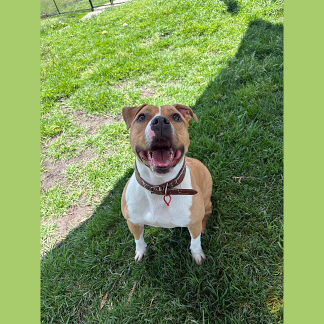 Photo of Sophie