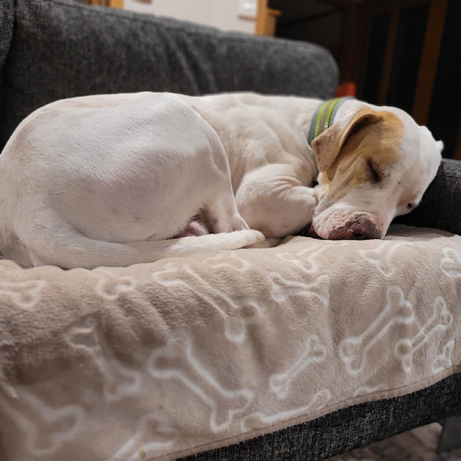 Photo of Mackalicious