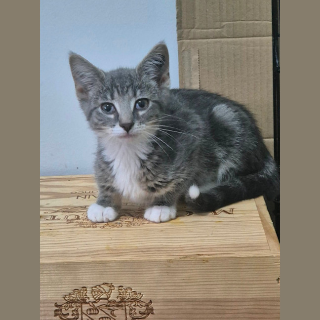 Photo of Lulu