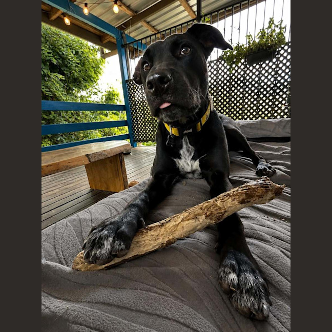 Photo of Benny