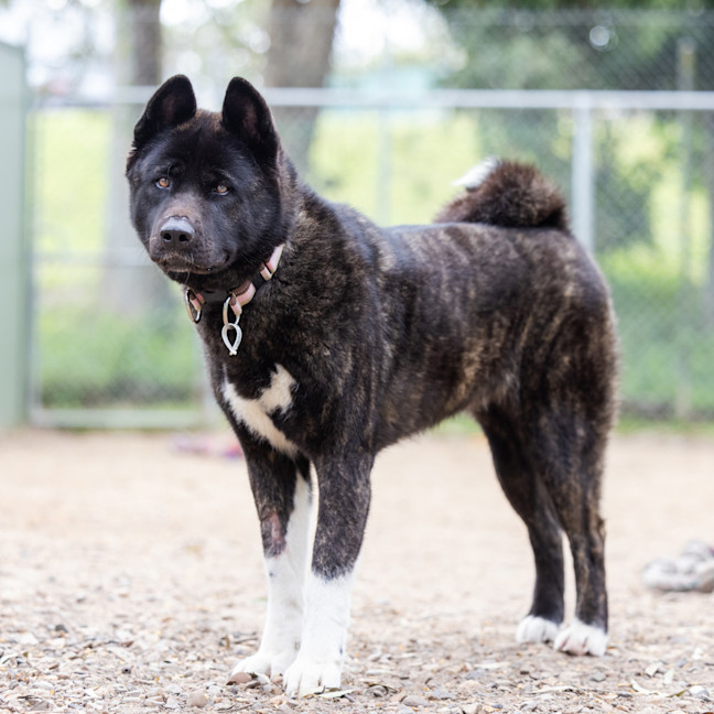 Photo of Kita