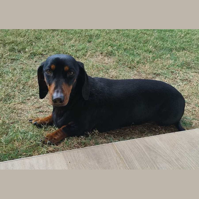 Photo of Donald (Donny)