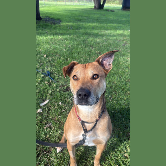 Photo of Ripley