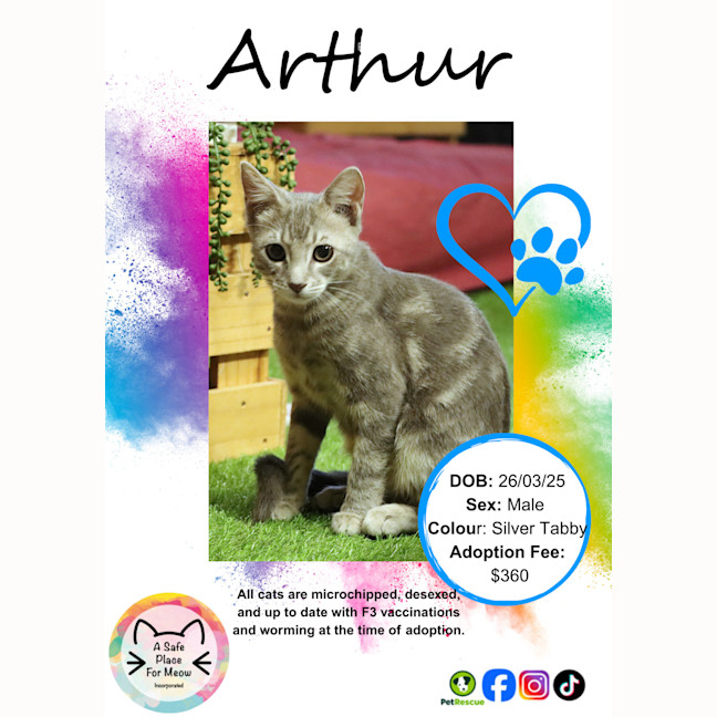 Photo of Arthur