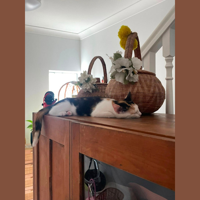 Photo of Penelope