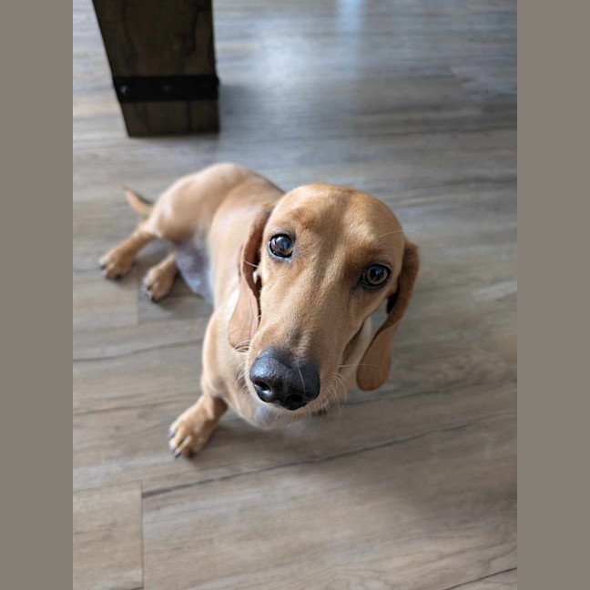 Photo of Bill And Ted