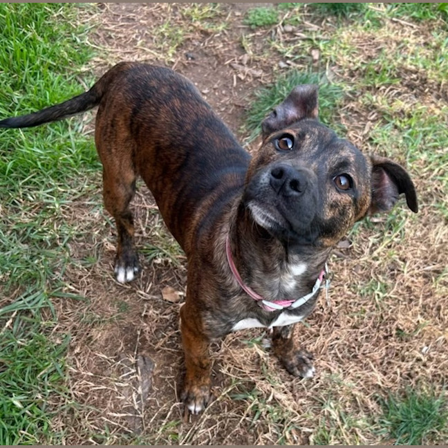 Photo of General Munchkin