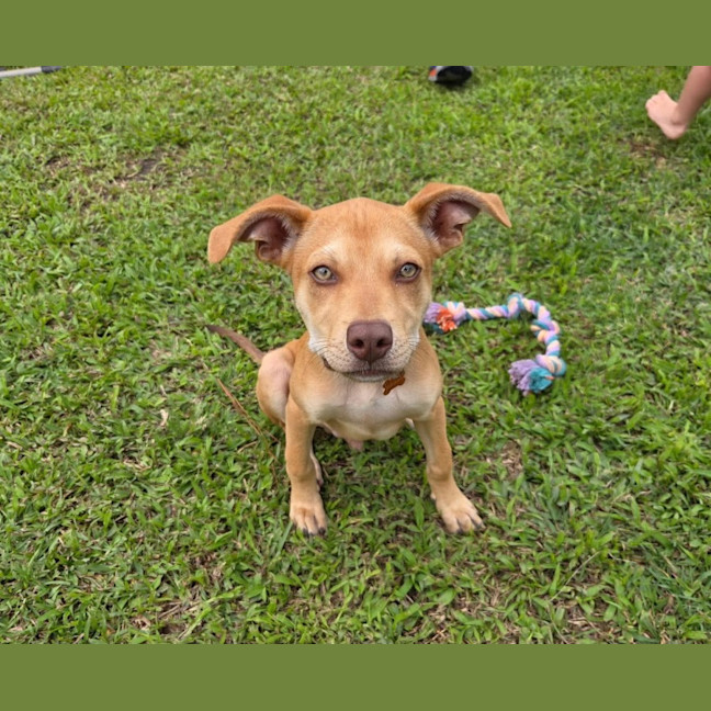 Photo of Ranger